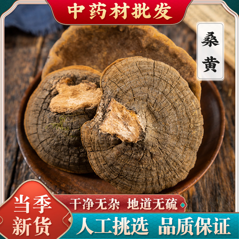 【20年野生桑黄】西藏正宗桑树桑黄正品灵芝野生桑黄500g克一斤装