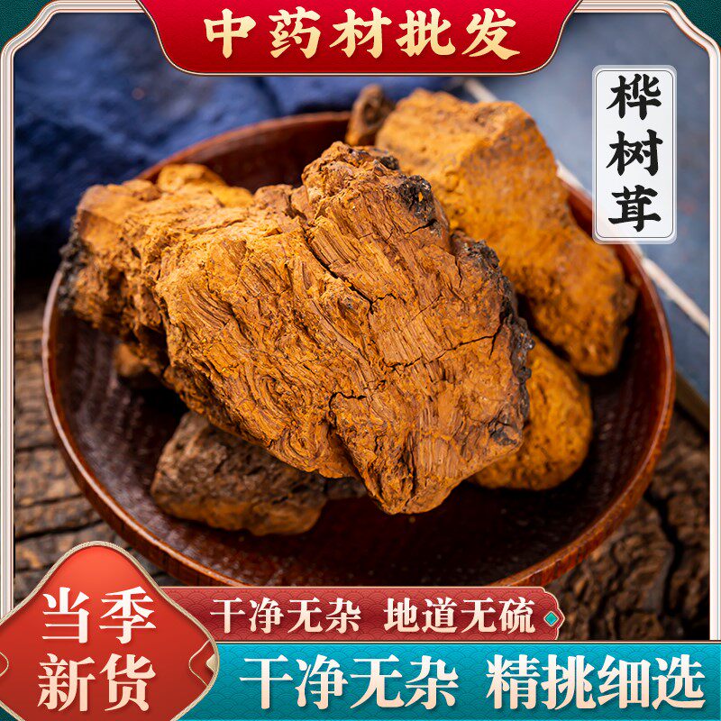 中药材 桦树茸 500克包邮 桦树泪菇胆白桦茸桦褐孔菌. 华树茸野生