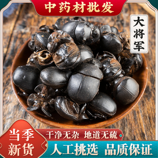大将军中药材新货无盐蜣螂虫推粪球正品