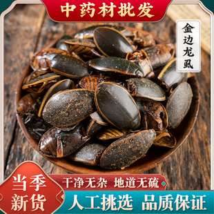 水鱉蟲 金邊龍虱中藥材 大金邊龍虱干 水蟑螂 野生干貨 射尿龜