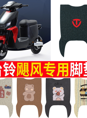 适用台铃飓风电动车脚踏垫新国标电瓶车防水防滑丝圈脚垫TDS31SZ