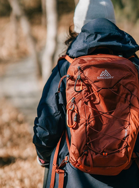 GREGORY格里高利ARRIO山野22L男女同款砖红色户外徒步通勤双肩包