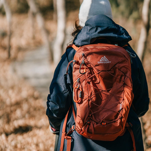 GREGORY格里高利ARRIO山野22L男女同款砖红色户外徒步通勤双肩包