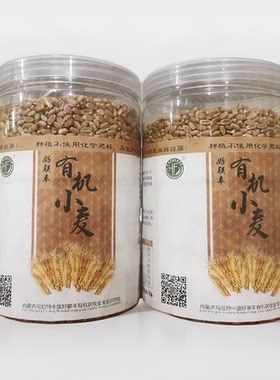 好联丰有机含硒小麦原粮 带皮小麦种子 内蒙古小麦苗药茶猫草谷物