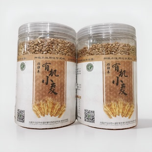 好联丰有机含硒小麦原粮 带皮小麦种子 内蒙古小麦苗药茶猫草谷物