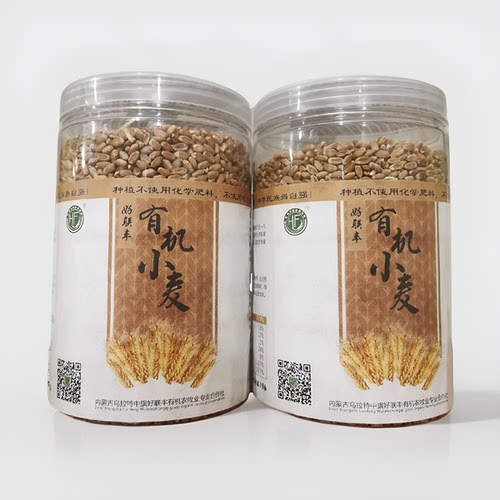 好联丰有机含硒小麦原粮 带皮小麦种子 内蒙古小麦苗药茶猫草谷物