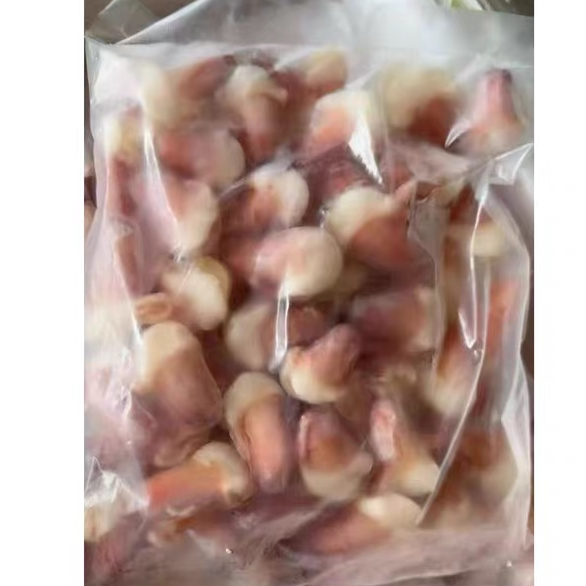 中大粒兰花蚌 海山蚌北极贝裙边贝类制品