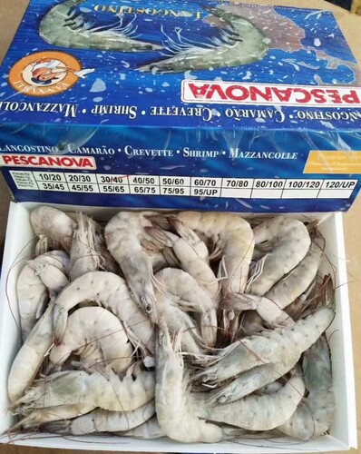 厄瓜多尔老船长白虾盐冻南美大对虾2kg30/40规格广东3盒顺丰包邮