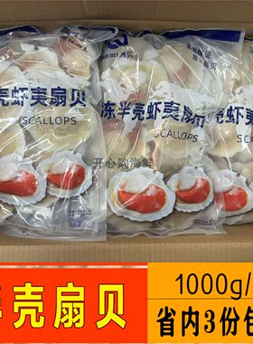 虾夷扇贝半壳冷冻带壳大扇贝肉海鲜烧烤蒜蓉粉丝元贝类1000g/包