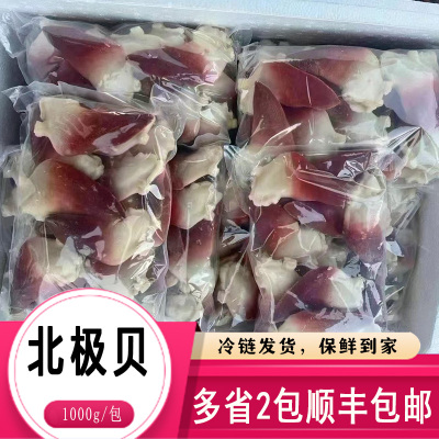 朝鲜北极贝刺身1kg商用切片2l号