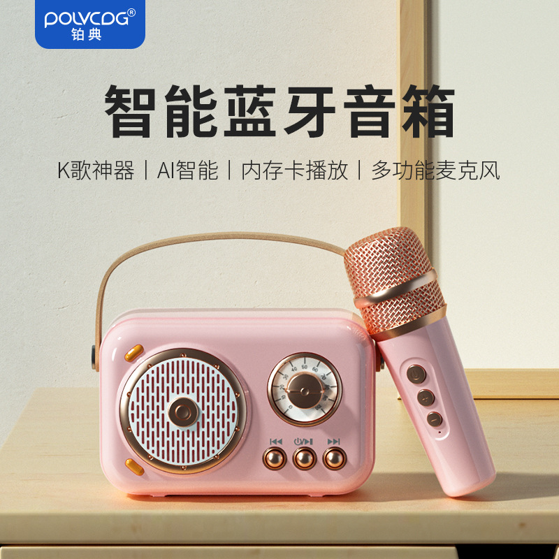 铂典麦克风蓝牙音响AUX/TF插卡AI智能迷你家庭卡拉OK话筒电脑音箱