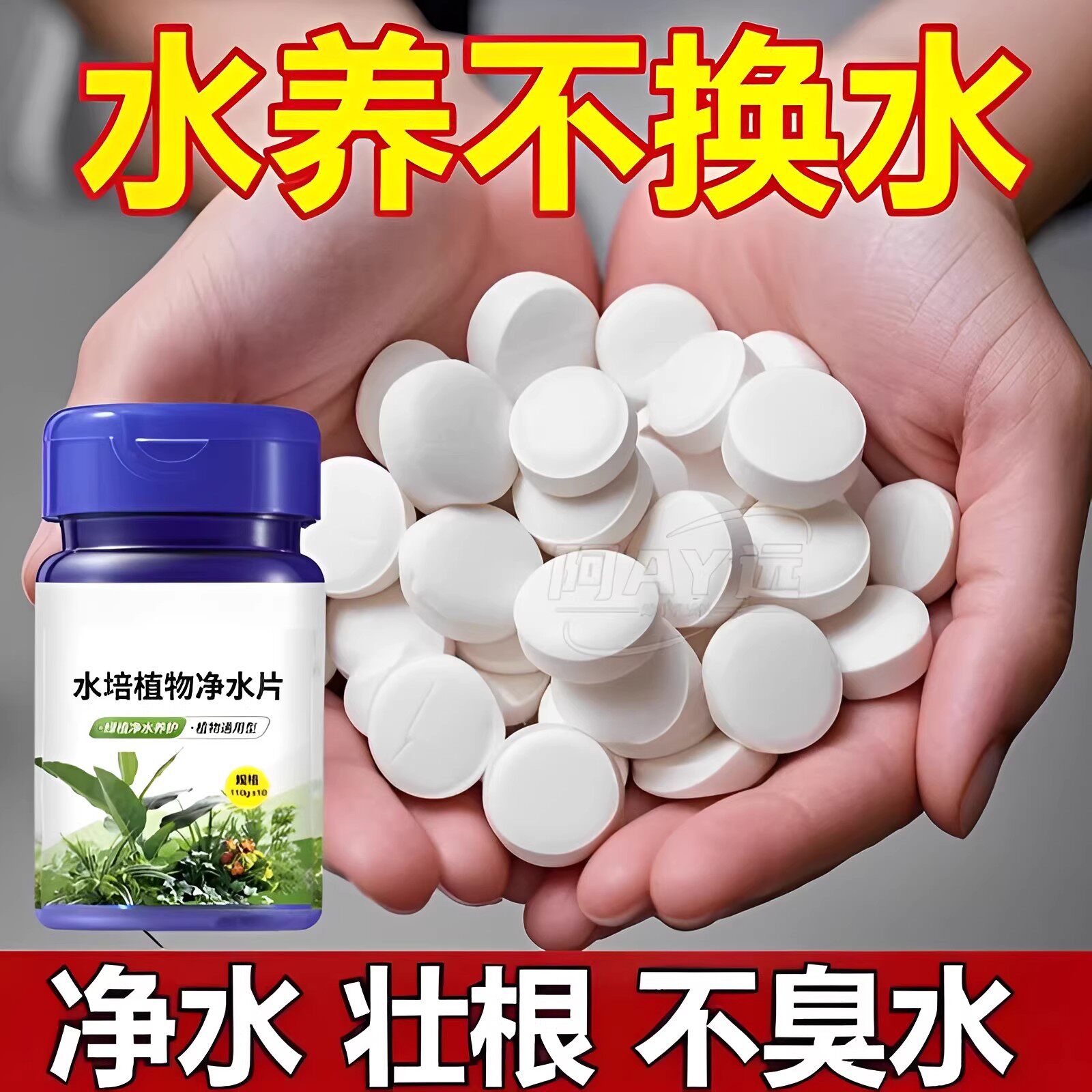 水培植物净水片鲜花花卉保鲜剂