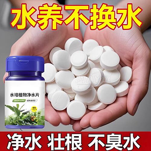 水培植物净水片鲜花花卉保鲜剂