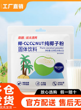 南国食品 海南特产纯椰子粉120克椰奶椰汁粉早餐冲饮特惠散装包邮