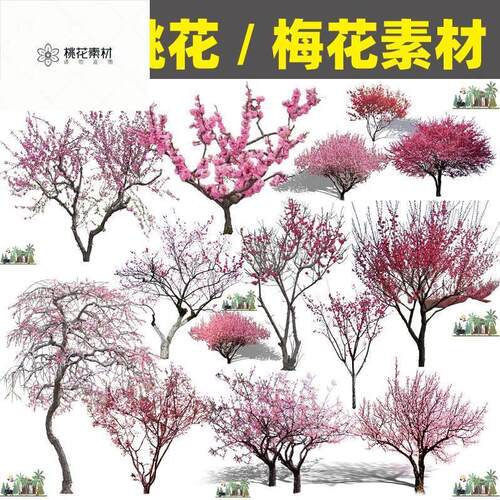 Z159园林植物梅花树红梅桃花树PS效果图后期立面图PSD分层素材