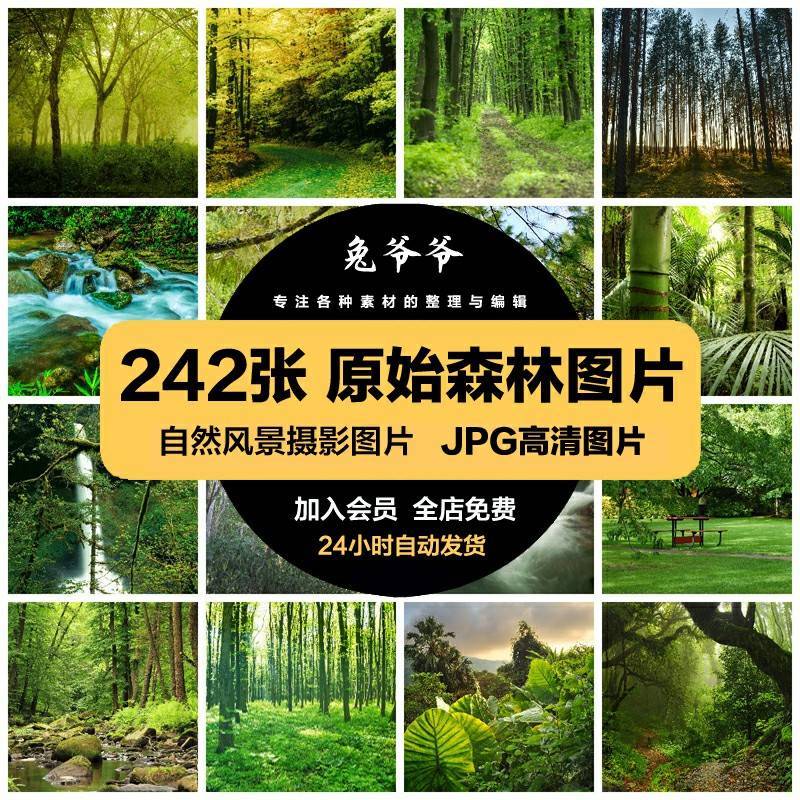 高清自然风景JPG图片原始森林公园雨林树林山林喷绘打印合成素材