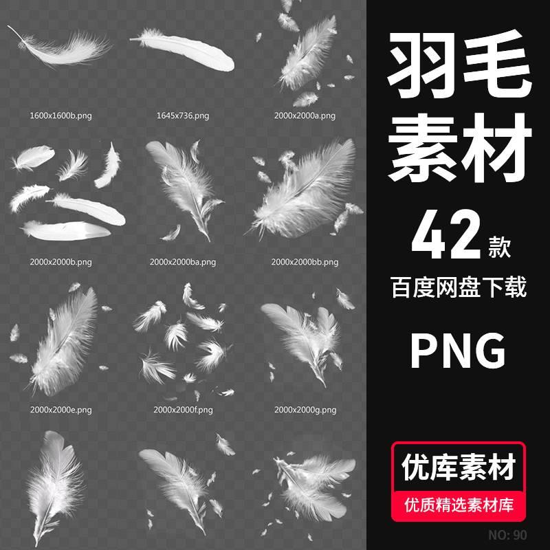 PNG免扣透明羽毛素材动物毛发2K高清平面海报合成设计素材资源