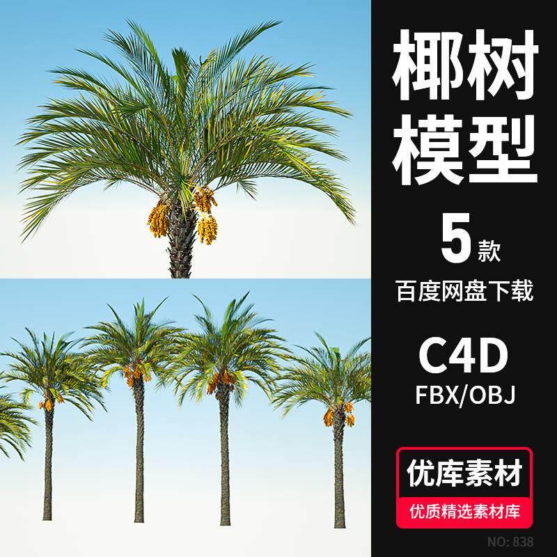 棕榈树椰子树3d模型素材c4d/fbx/obj/blender海边度假村植物元素