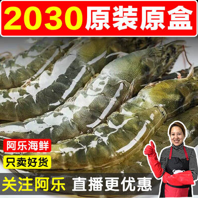 【2030盐冻大虾】新鲜活冻大海虾青虾毛重4斤 净重3.5斤/盒