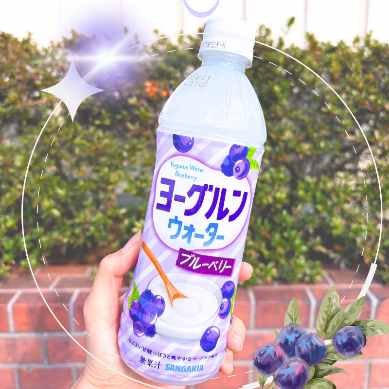 日本进口三佳利Sangaria饮料椰果蓝莓酸奶味500ml