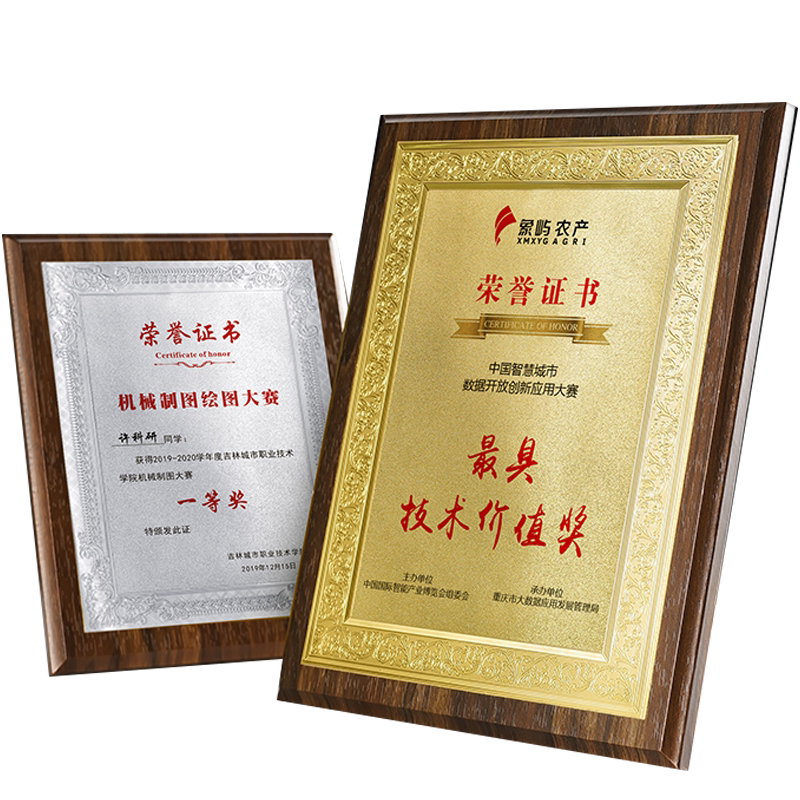 木质奖牌定制荣誉证书框摆台聘书外壳高档奖状裱框代理授权书定做捐赠结业获奖收藏证书志愿者感谢信金箔制作