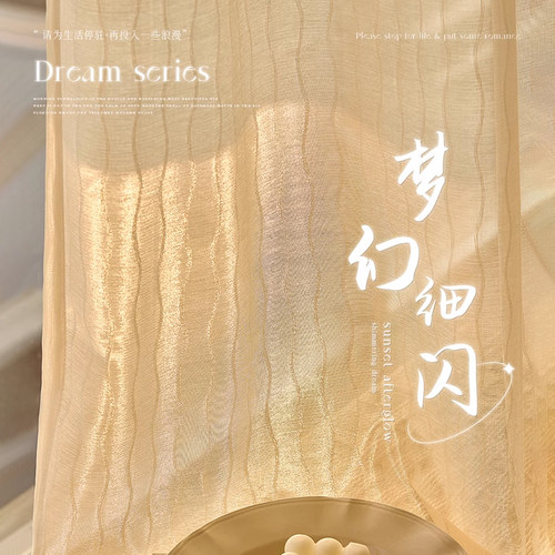 鎏金梦幻帘窗帘纱帘透光不透人法式高端窗纱高级感飘窗阳台流金纱