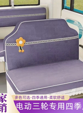 云朵款盛昊金彭海宝牛电宗申鲁客淮海小鸟恒阔电动三轮四轮车座套