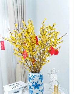 荷兰进口寸寸金鲜切花连翘花遇水开花室内年宵花江浙沪皖2扎包邮