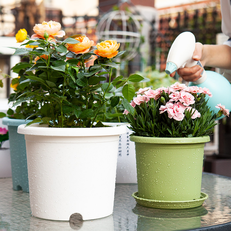 塑料花盆简约加仑盆加厚月季绿萝