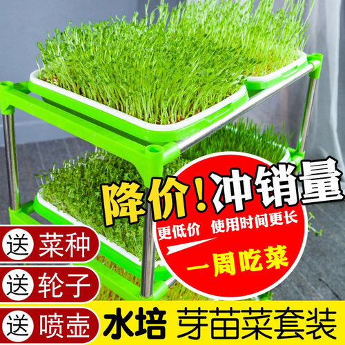 豆芽发芽盆阳台芽苗菜托盘架蔬菜