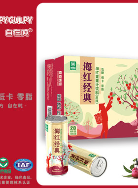 山西河曲特产海红310ml果汁饮料