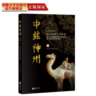 觅取盛世大唐 中兹神州绚烂 面纱 一本图录揭开神都洛阳 风华 唐代洛阳城