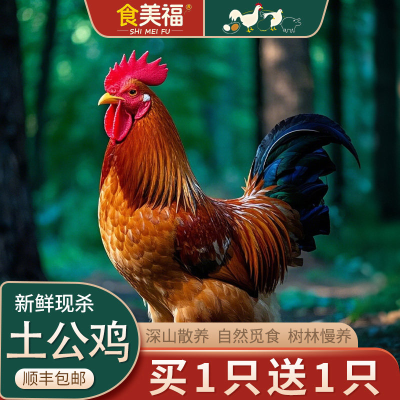 大公鸡土鸡农家散养走地鸡小公鸡童子鸡柴鸡新鲜现杀正宗笨鸡整只