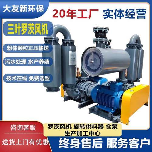 鲁式罗茨鼓风机龙铁机型厂家一手价格噪音低压力稳定气力输送