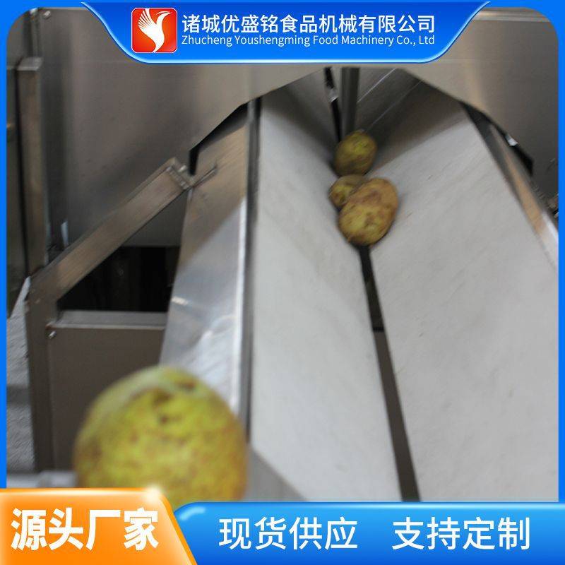 大型水果酱灭菌生产线 供应柠檬浆浓缩设备 成套火龙果膏加工机器