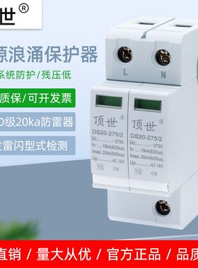 三级单相电源D级防雷器 2P20KA防浪涌电涌保护器家用模块光伏避雷