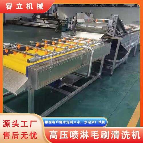 高压喷淋毛刷式火龙果清洗机 芭乐芒果清洗设备 青桔清洗流水线