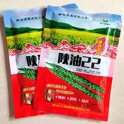 陕油22高产油菜种子抗病耐寒抗倒