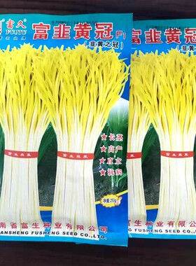 韭黄种子四季韭菜籽籽种菜种