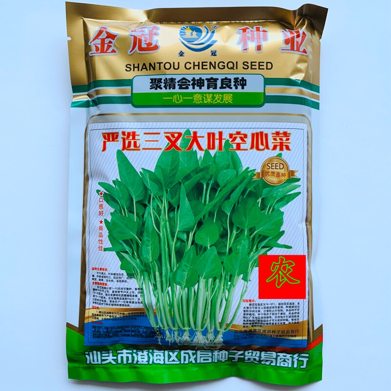 四季空心菜种籽博白空心菜大田种大叶柳叶竹叶三叉水培空心菜种子