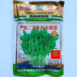 四季空心菜种籽博白空心菜大田种大叶柳叶竹叶三叉水培空心菜种子