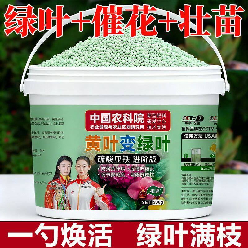 硫酸亚铁正牌正品酸性土壤通用型养花防黄叶植物果树铁树水溶补铁