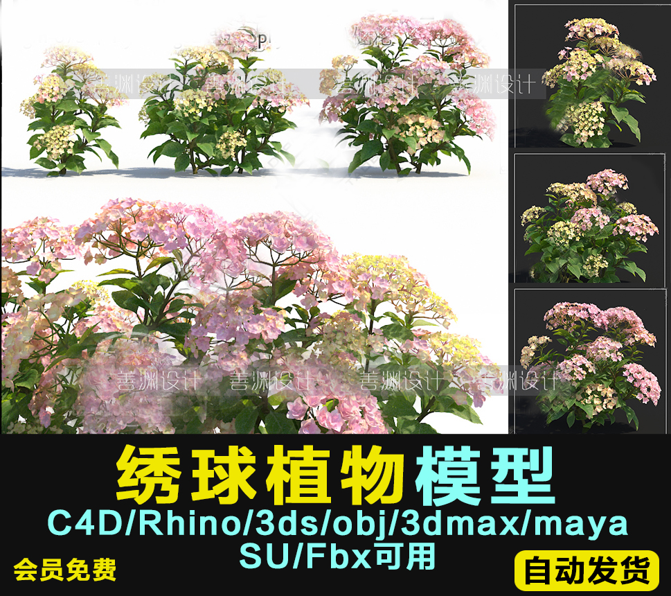 【绣球】八仙花粉团花3d植物C4D/犀牛/OBJ/3ds/3dmax/maya/FBX/SU