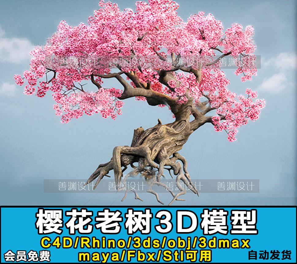 古代古风樱花树老树大树3D模型C4D/Rhino/FBX/OBJ/3dmax/3ds/STL 商务/设计服务 样图/效果图销售 原图主图