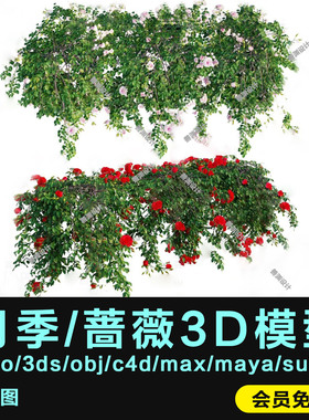 月季/蔷薇3D模型犀牛模型Rhino/C4D/3dmax/obj/3dm/3ds/stp