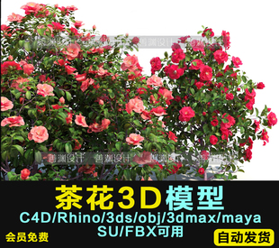 OBJ fbx可用 山茶 犀牛 maya 3dmax 3d植物C4D 3ds