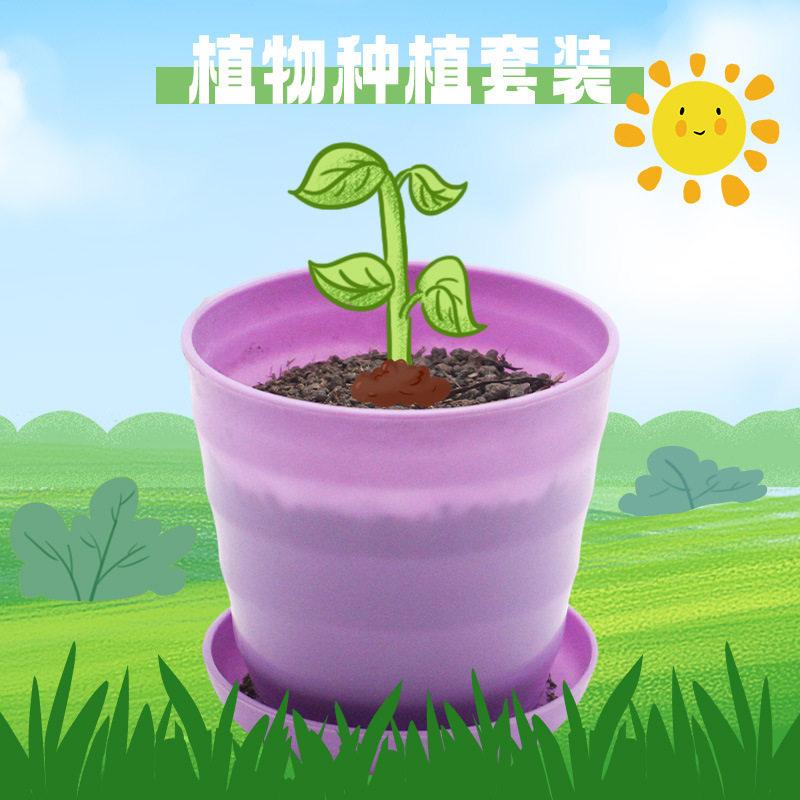 植物种植套装中小学生种植观察蔬果科学小实验教具diy科技小制作