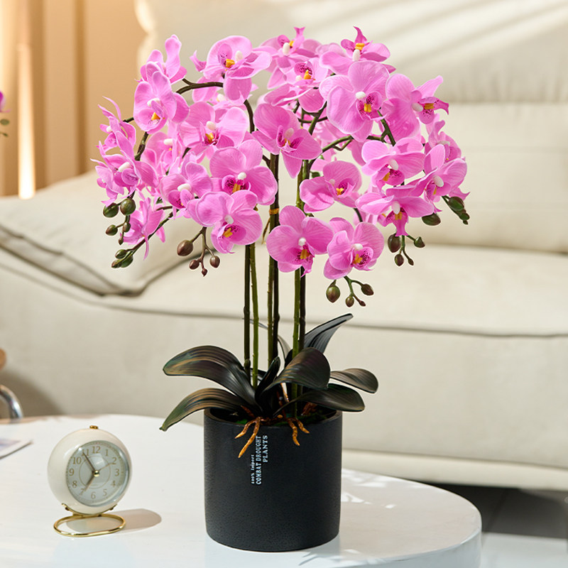 蝴蝶兰假花仿真花摆设兰花轻奢高端插花餐桌花艺摆件酒店摆花装饰,家居饰品,仿真花/假花,淘宝优惠券,粉丝福利购,淘宝优惠卷