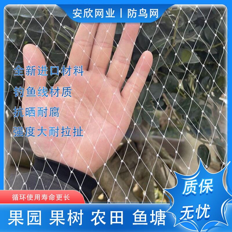 防鸟神器果树园网罩大棚尼龙线