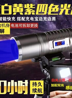 夜钓鱼专用激光灯强光紫光台钓蓝光四光源垂钓鱼专用充电手电简